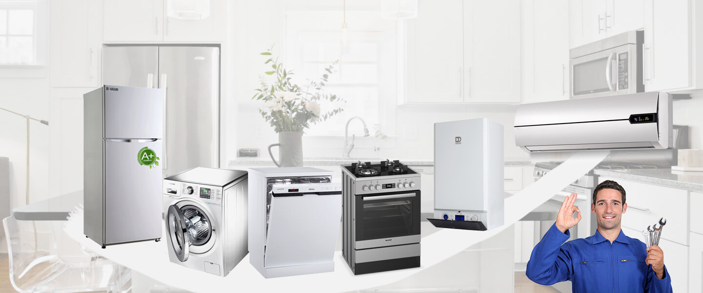 Özalp Electrolux Servisi
